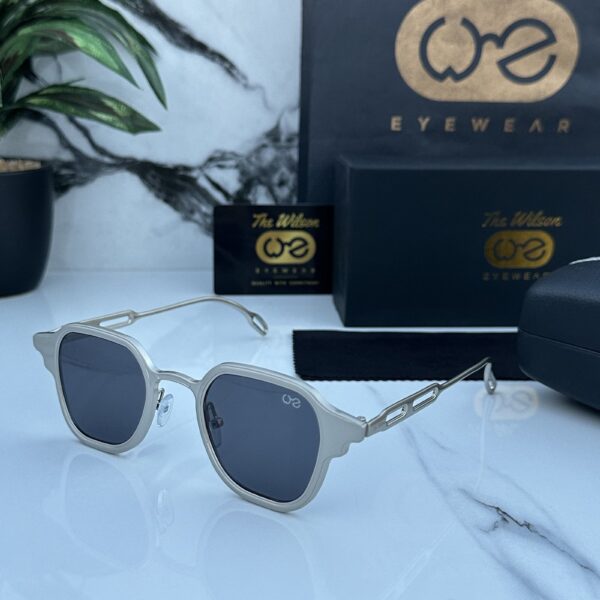 Branded  WLSON 2381 silver black Sunglasses