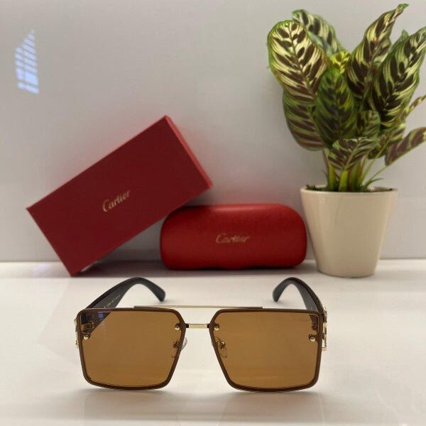 Branded Ctier Gold Brown Sunglasses EW