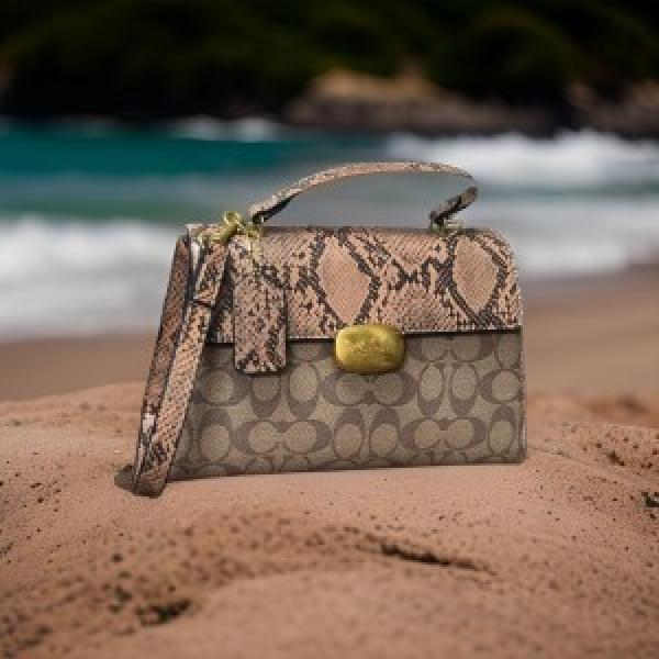 coach crossbody lady bed 1387
